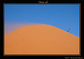 Picture Title - Dune 45