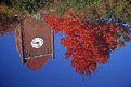 Picture Title - Reflections of Red