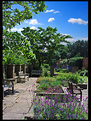 Picture Title - The Walled Garden..
