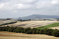 Picture Title - Tuscany country #4
