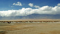 Picture Title - Ngorongoro panorama 3