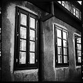 Picture Title - windows