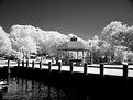 Picture Title - Northport Harbor 2