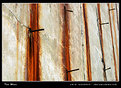 Picture Title - The Wall