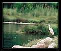 Picture Title - Having a bird's eye view...