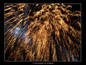 Picture Title - Fire Works