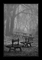 Picture Title - Misty benches