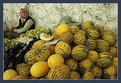 Picture Title - The Melon Seller