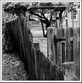 Picture Title - Rickety Fence