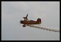Picture Title - Wing Walker