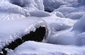 Picture Title - The Ice Monster Speaks