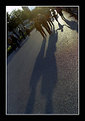 Picture Title - Walkin' shadows