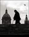 Picture Title - man and pigeon