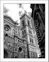 Picture Title - Florence in b&w -5-