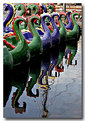 Picture Title - Dragon Boat Reflections