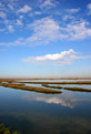 Picture Title - Salt Marsh