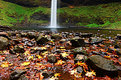 Picture Title - Southfalls Fall