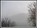 Picture Title - Alpine Fog