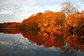 Picture Title - autumn