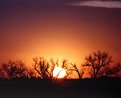 Picture Title - Colorado Sunrise