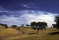 Picture Title - Alentejo