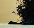 Picture Title - Island Silhouette