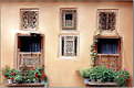 Picture Title - The life windows