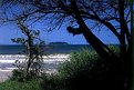 Picture Title - Honey Island