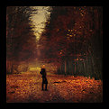 Picture Title - autumn