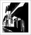 Picture Title - Florence in b&w -13-