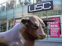 Picture Title - Bullring Shopping (6)