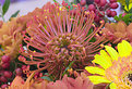 Picture Title - Pincushion
