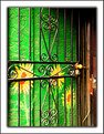 Picture Title - Wrought Iron Door & Painted Wall