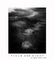 Picture Title - field and night