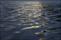 Picture Title - Golden Ripples.