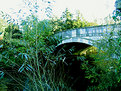 Picture Title - bridge over river test