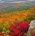 Picture Title - Ozark Valley Revisited