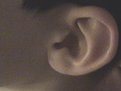 Picture Title - Adrian's ear