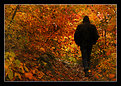 Picture Title - Autumn mood