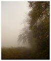 Picture Title - Mist