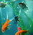 Fishies