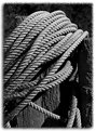 Picture Title - Lariat Rope