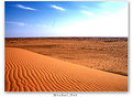 Picture Title - Golden Desert