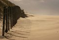 Picture Title - wind at the beach 