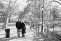 Picture Title - Walk in Central Park