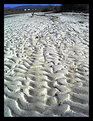 Picture Title - White sands