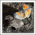 Picture Title - Thrown Away Boots