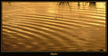 Picture Title - Ripples