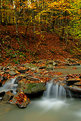 Picture Title - Autumn stream II