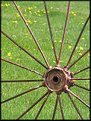 Picture Title - The Wheel Has Spoke